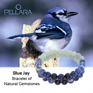 Blue Jay Gemstone bracelet by Pellara, made of Amazonite, Sodalite, Blue Tiger. Aries, Scorpio, Gemini, Pisces & Leo zodiacs. Third eye, Throat and Heart chakra