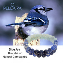 Load image into Gallery viewer, Inspired by Blue Jay, Gemstone bracelet by Pellara, made of Amazonite, Sodalite, Blue Tiger eye. Aries, Scorpio, Gemini, Pisces &amp; Leo zodiacs. 6, 8 &amp; 10mm. 